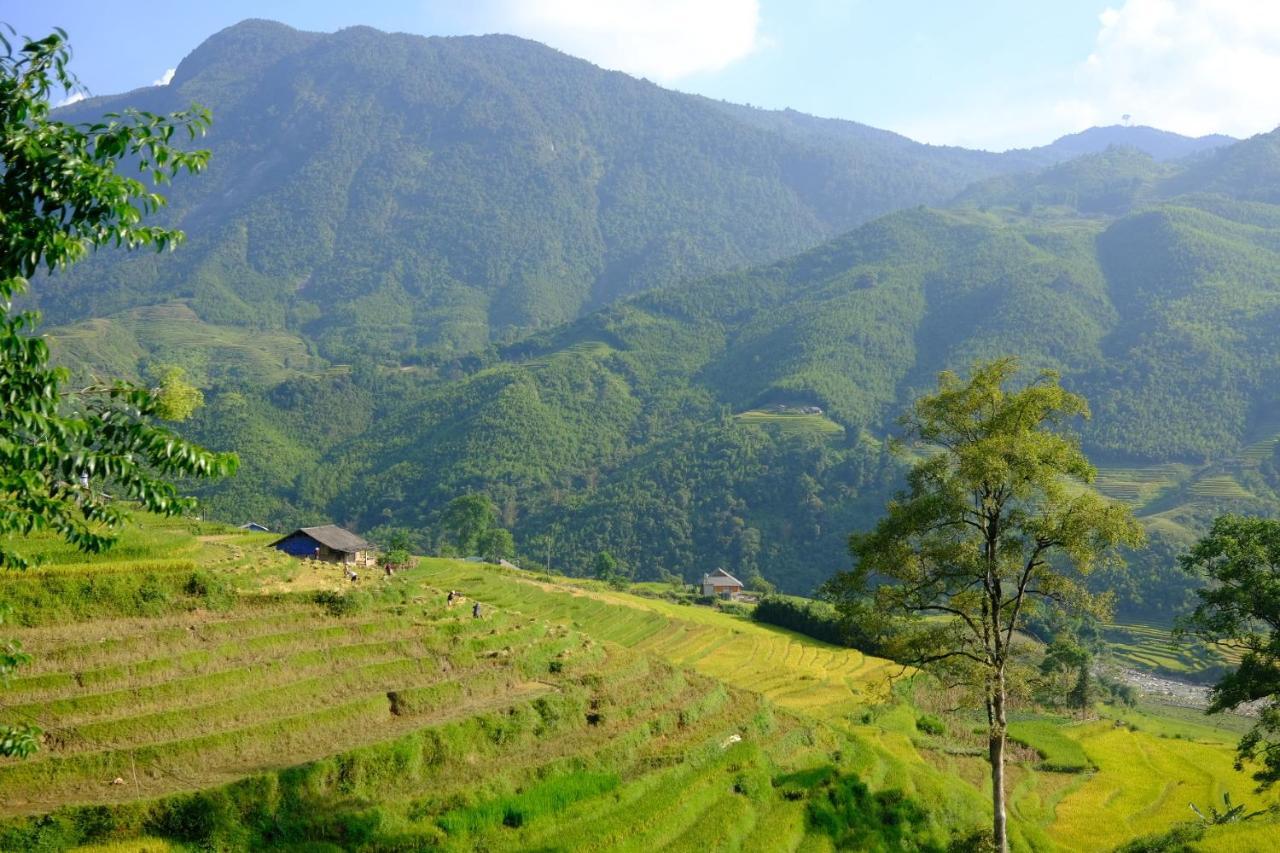 Hmong *